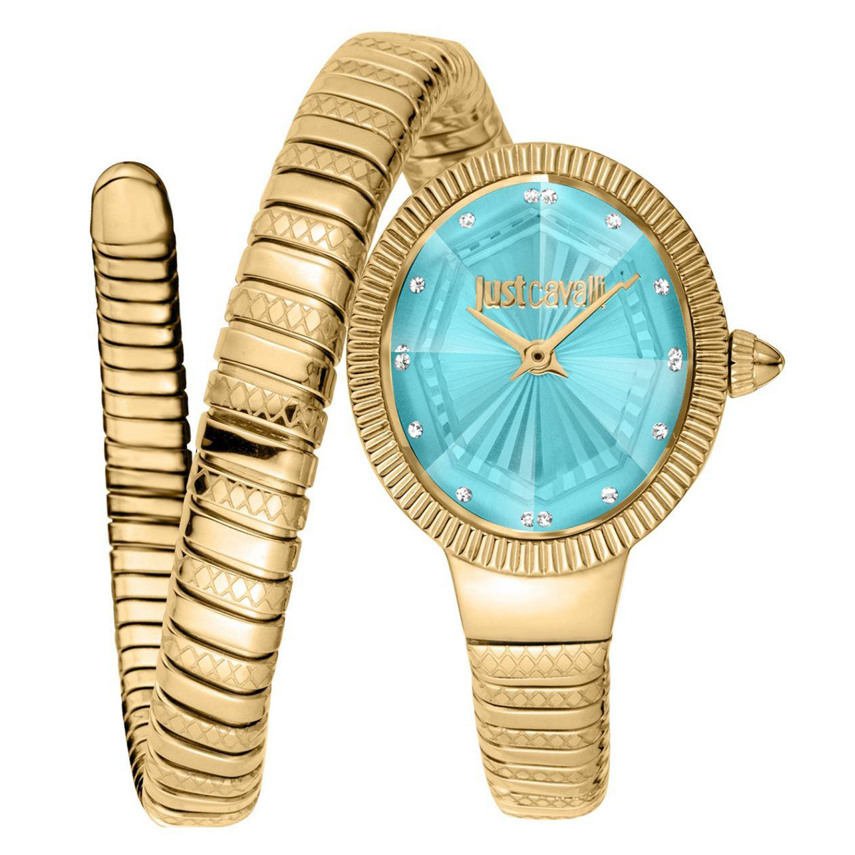 MONTRE JUST CAVALI FEMME ACIER